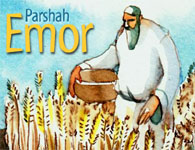 This Week's Parshah: Emor